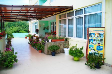 Внешний вид