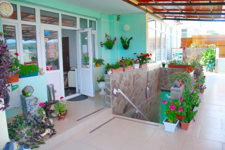 Внешний вид