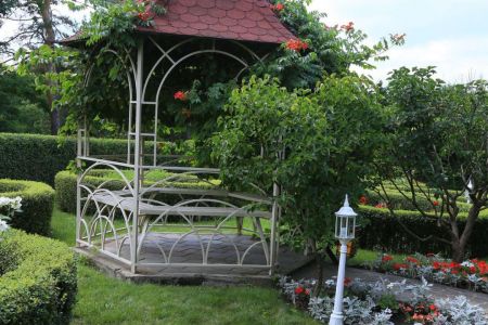 Внешний вид