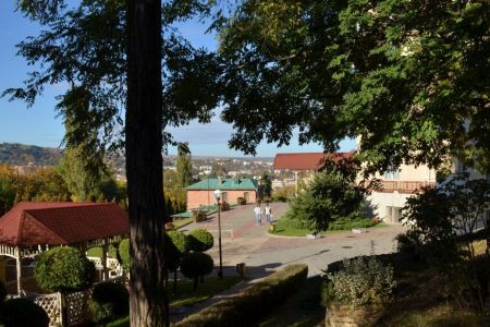 Внешний вид