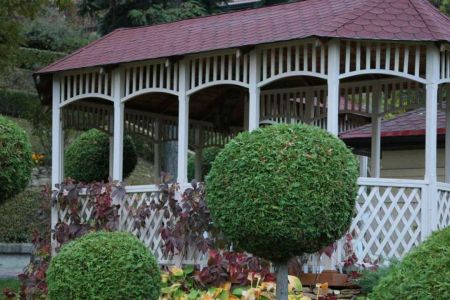 Внешний вид