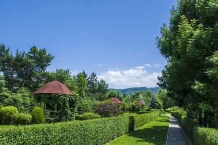 Внешний вид