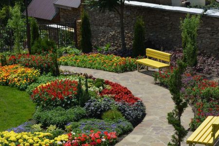 Внешний вид