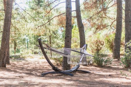 «Понизовка» санаторий