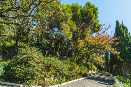 «Понизовка» санаторий