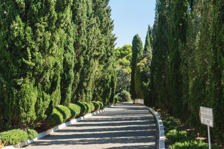 Территория