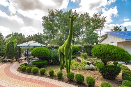 новая зона в бассейне