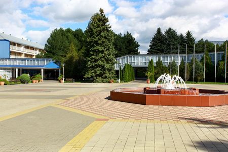 Внешний вид