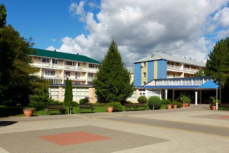 Внешний вид