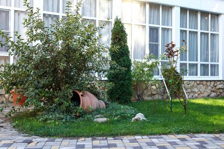 Внешний вид