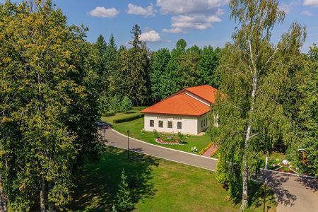 Блюда шведской линии питания