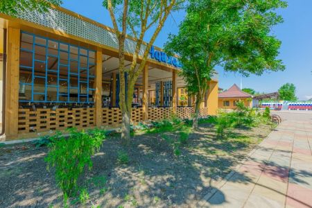 парк Топиари