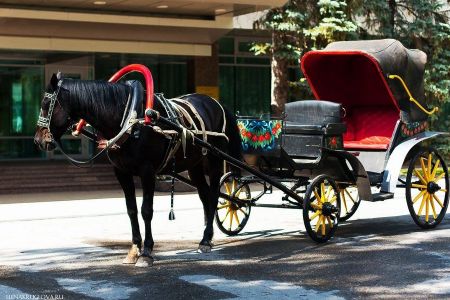 Общий вид корпуса