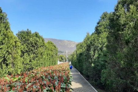 Территория пансионата