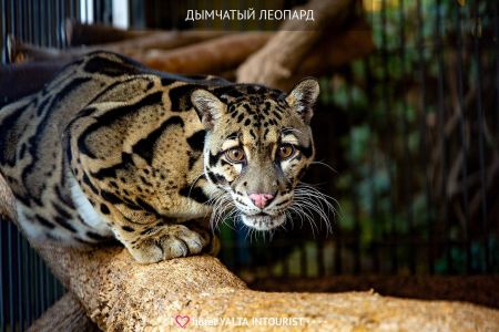 30. Аквапарк для взрослых и детей-min