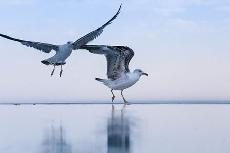 Вид сверху на территорию