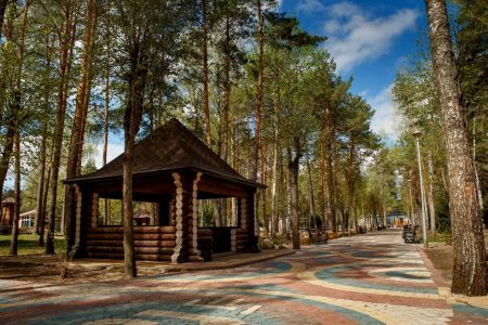 Общий вид на территорию