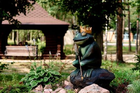 Общий вид на территорию