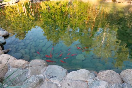 Общий вид на территорию