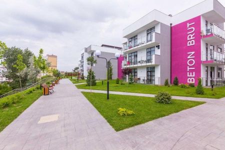 Внешний вид