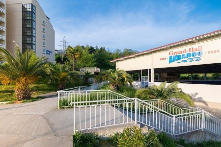 Внешний вид