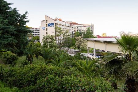 Внешний вид