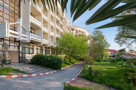 Внешний вид