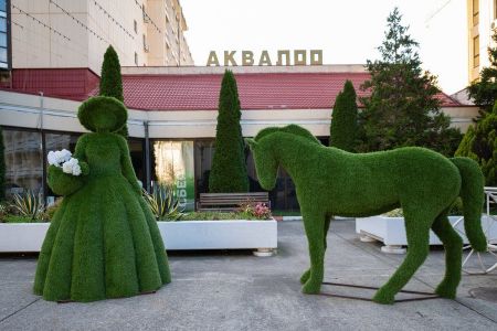 Внешний вид