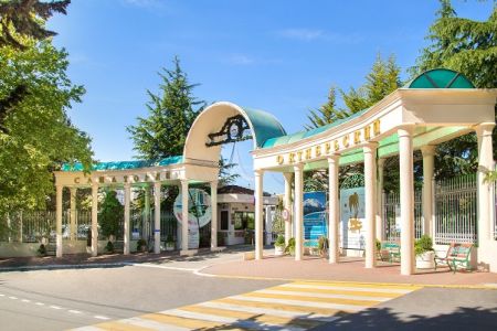 Внешний вид