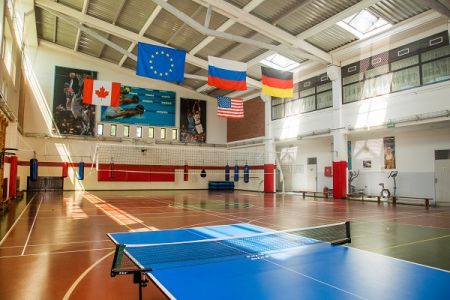 Внешний вид