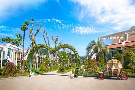 Внешний вид