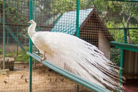 Тренажерный зал