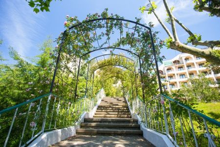 Внешний вид