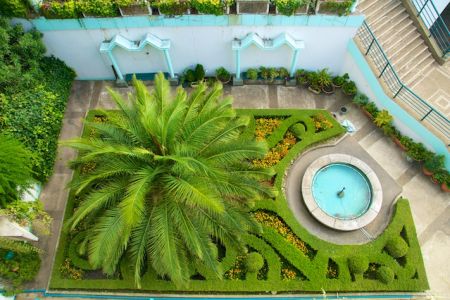 Внешний вид