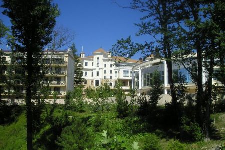 Внешний вид