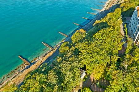 Внешний вид