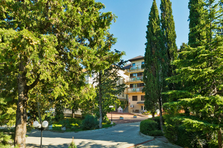 Внешний вид