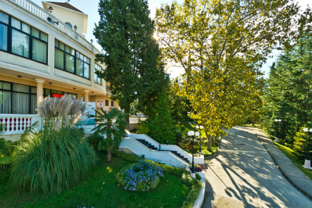 Внешний вид