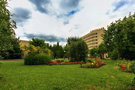 Внешний вид