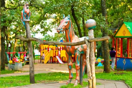 Внешний вид