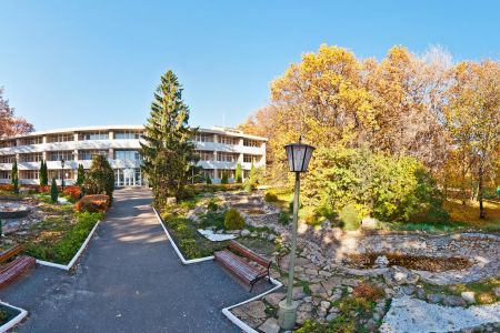 Внешний вид