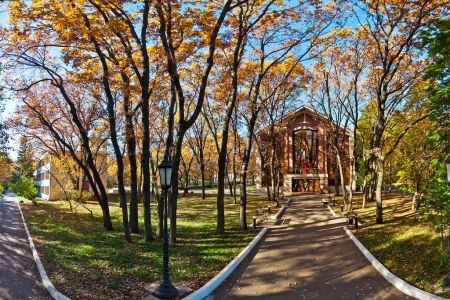 Внешний вид