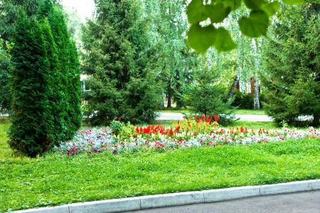 Внешний вид