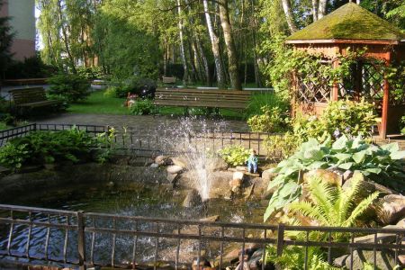 Внешний вид