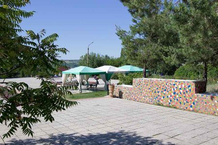 Внешний вид