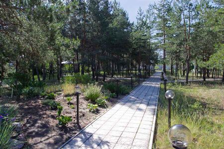 Внешний вид