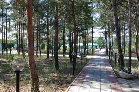 Внешний вид