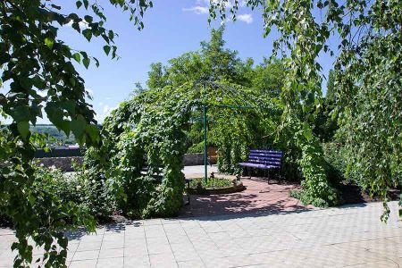 Внешний вид