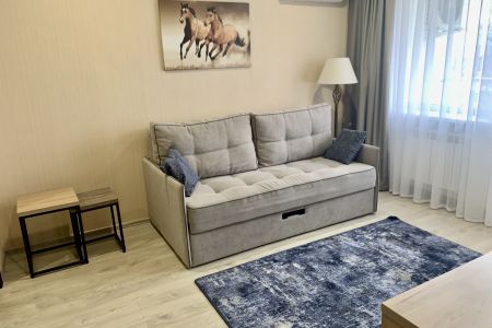 Люкс 2-местный 2-комнатный (с видом на Detox-зал)