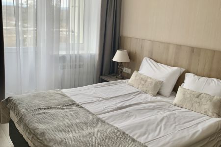 Люкс 2-местный 2-комнатный (с видом на Detox-зал)